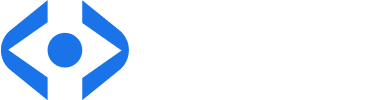 Vigil-X VMS